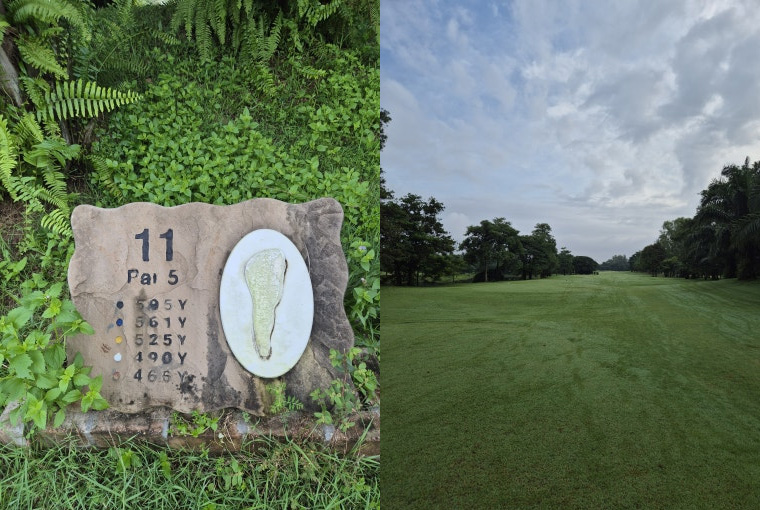 11번 Par5